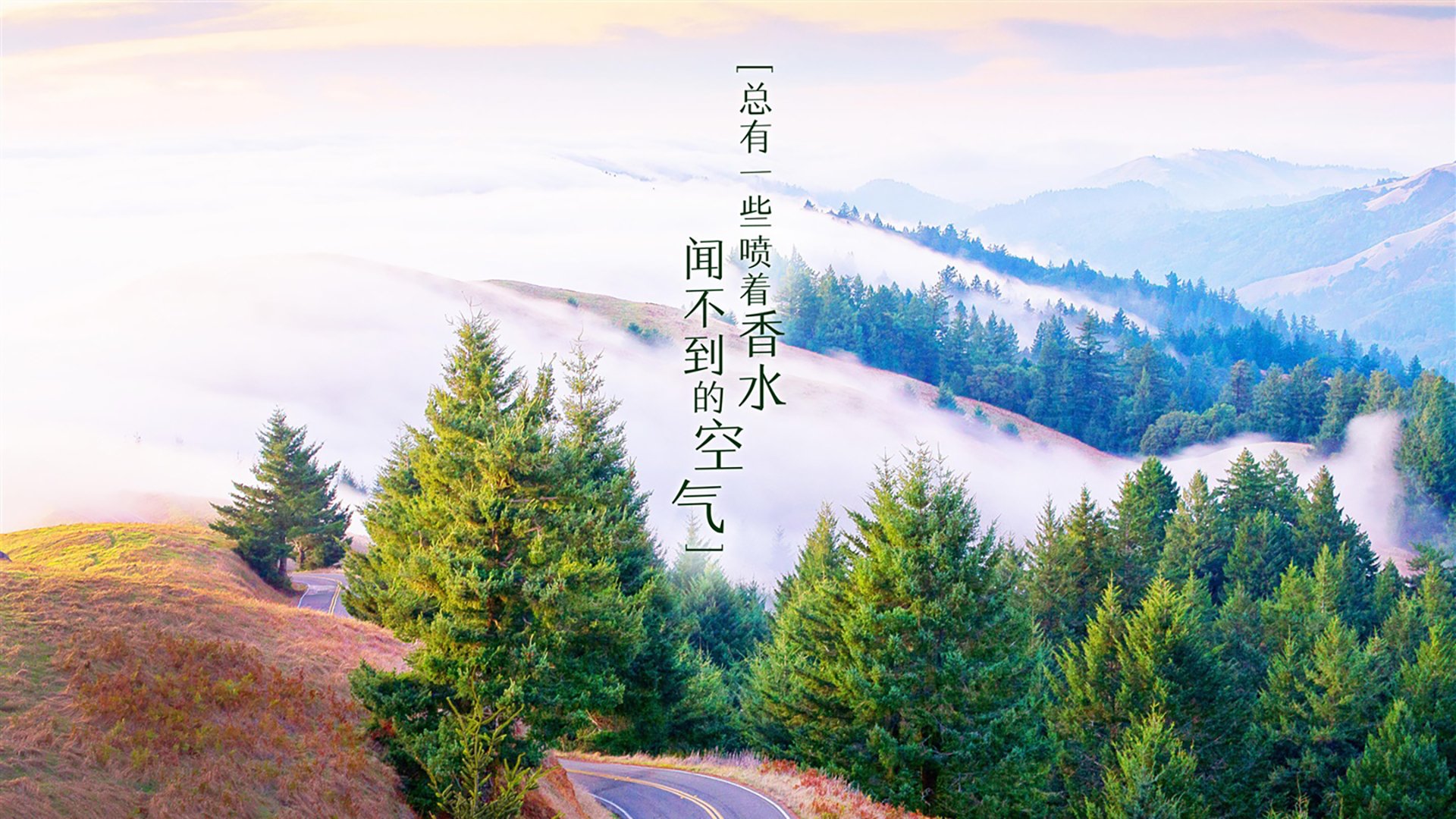 豪车之夜：顶级赛车在赛场的华丽变身，豪车全集