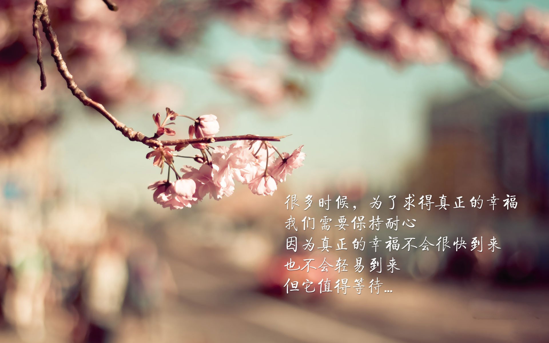 中东足球新势力：利雅得与吉达双雄争霸，利雅得到吉达有多远