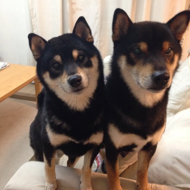 夺冠在望！球队实力强悍，决赛在即，球队夺冠有什么好处