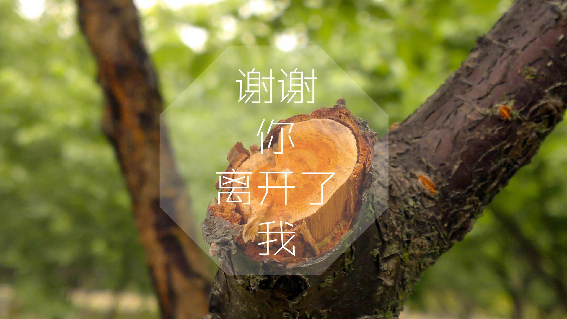 五大联赛最佳中场：谁能主持比赛的节奏？，五大联赛之最