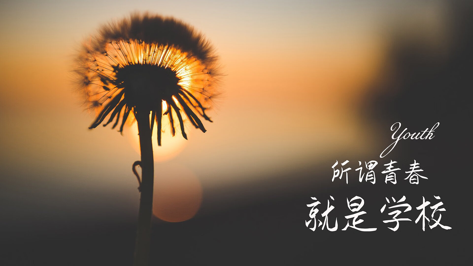 意甲裁判VAR语言提示系统减少多语境误解率