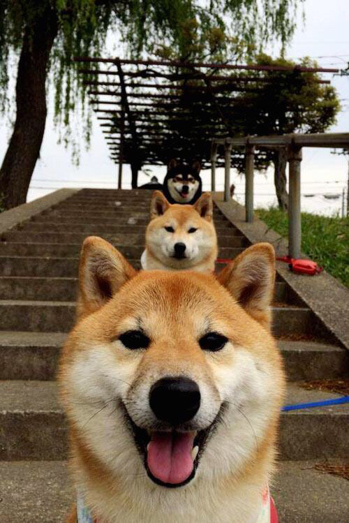 国家男篮球员积极备战展现良好训练氛围,男篮 训练