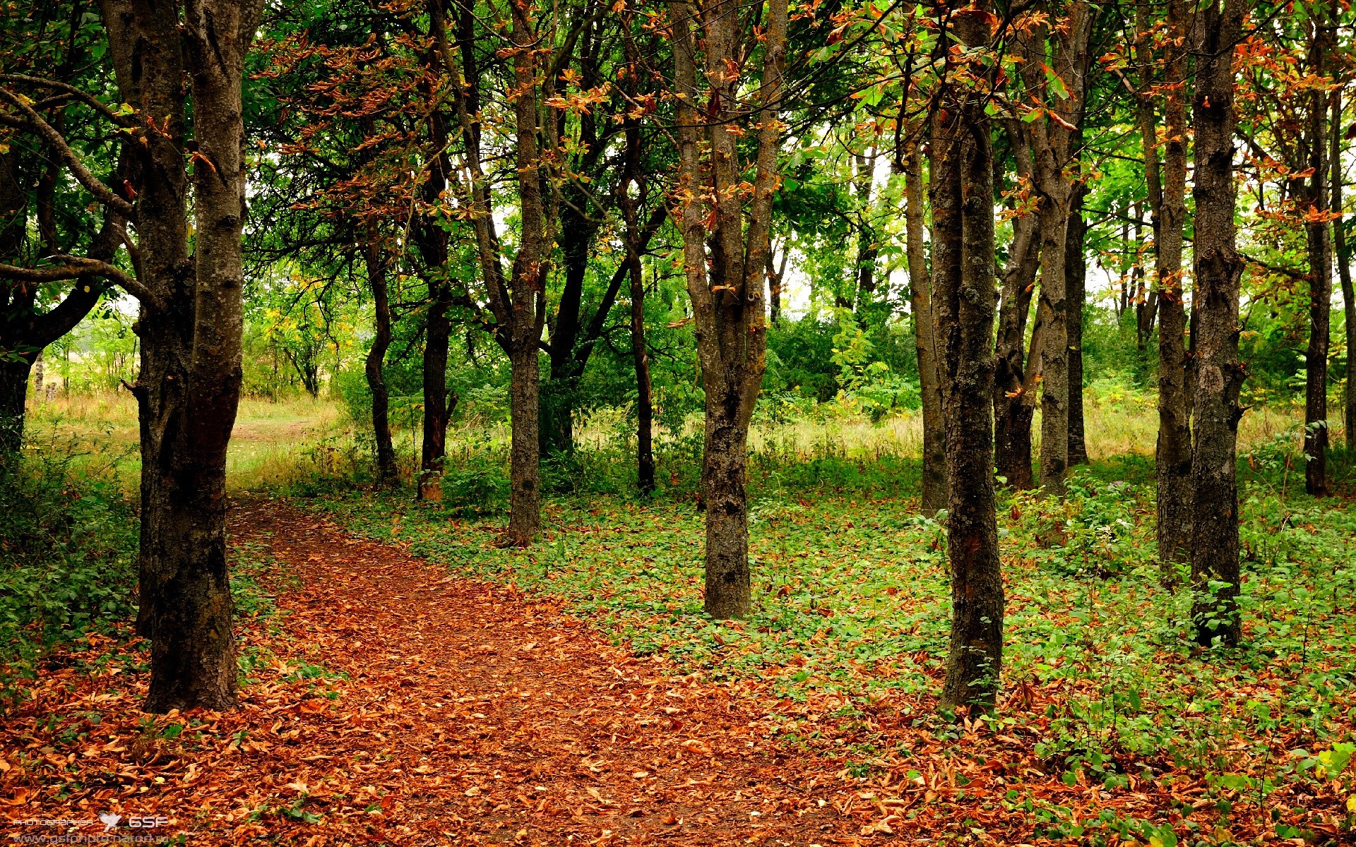 青少年体育社团快速发展 激发校园活力,体育社团开展