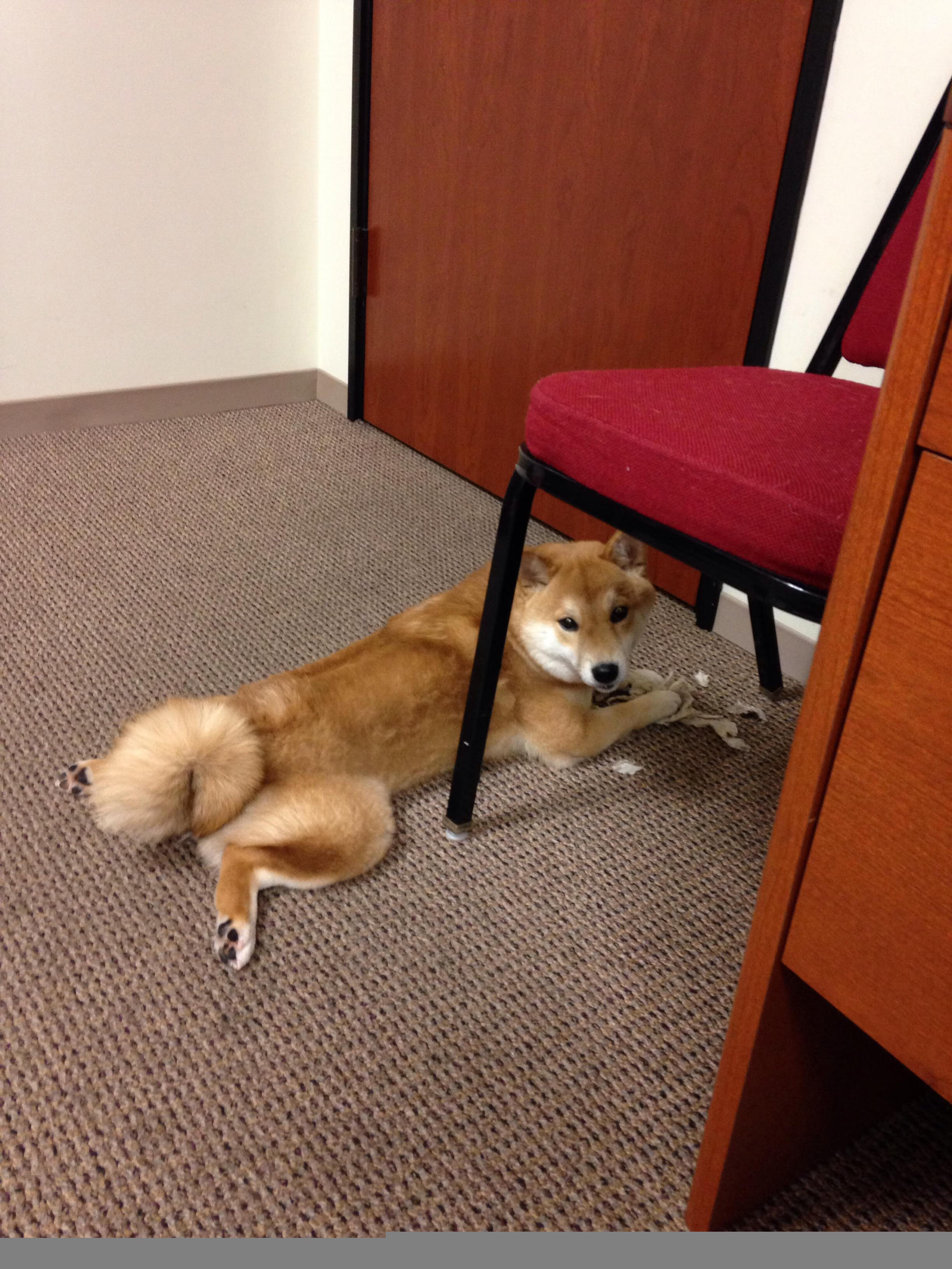 法甲顶级对抗:攻势猛烈战线拉长,法甲水平如何