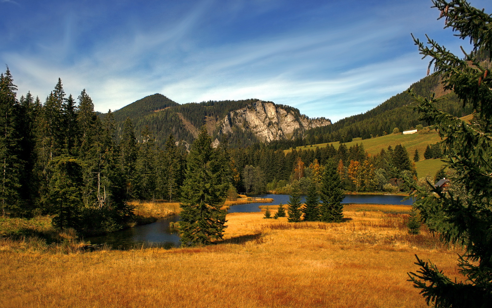 b体育娱乐-跳水配合默契希腊斩获佳绩，希腊跳水夺冠