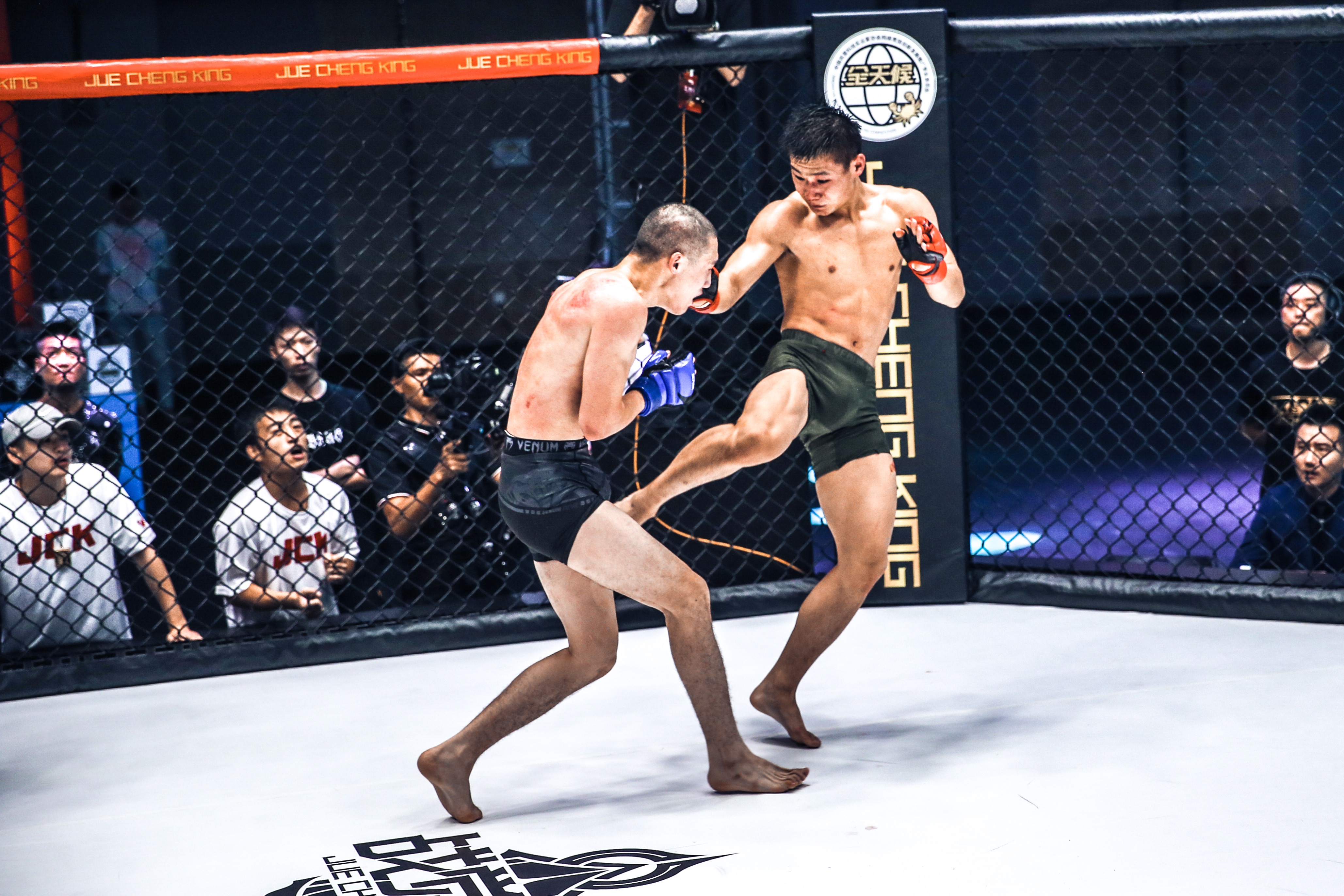 包含B体育:UFC终极格斗，铁笼之战谁能称霸？的词条